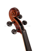 Selected Solidwood with All Accessories Advanced Student Violin Outfit (VG107S)