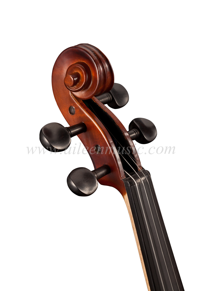 Selected Solidwood Advanced Student Violin Outfit (VG107)