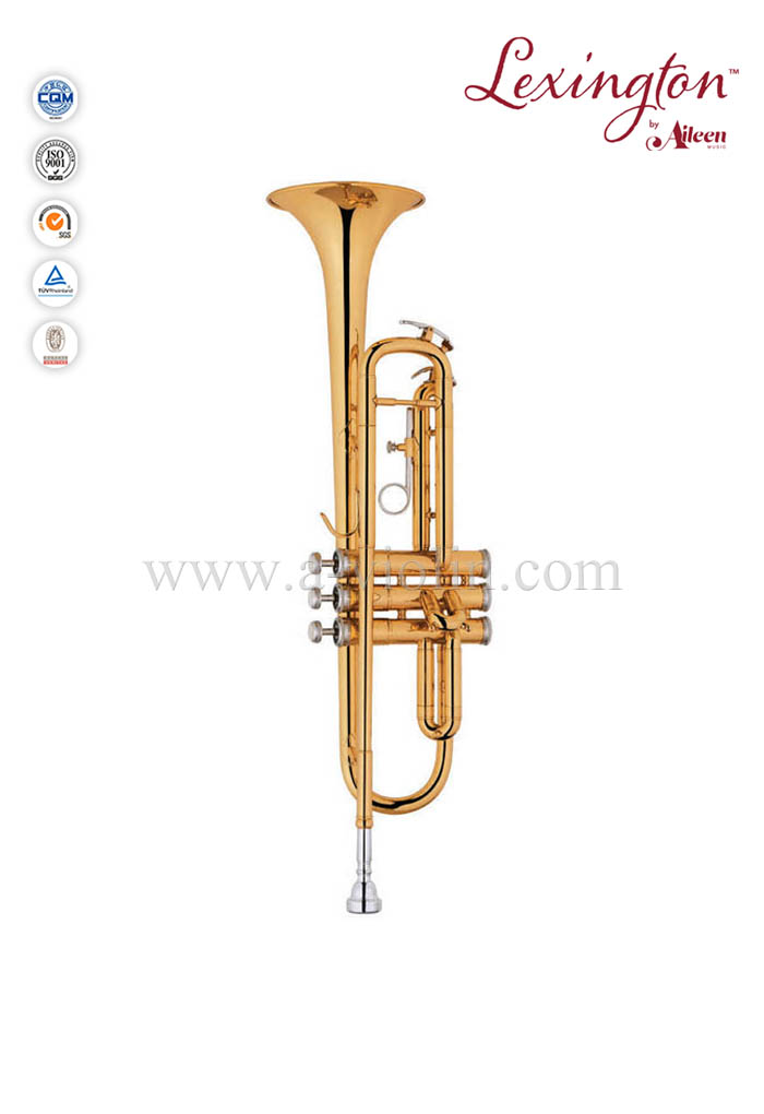 bB key Brass lacquered Trumpet With Premium Case (TP8011G)