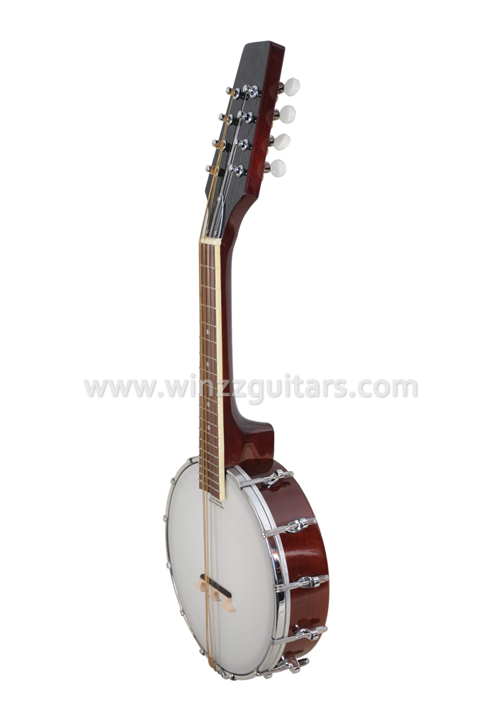 18 frets Sapele plywood body Remo head Banjo mandolin (AB12-M)