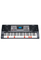 61 Keys Professional Music Keyboard Oriental Keyboard (EK61224)