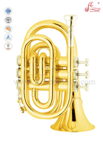 bB Golden Lacquer Mini Trumpet with Premium case(HTP8501G)