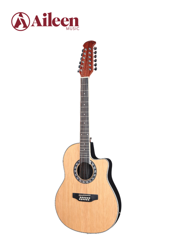 AFO29CE-12 New Matt Finish ABS 12 Strings Round Back Acoustic Guitar