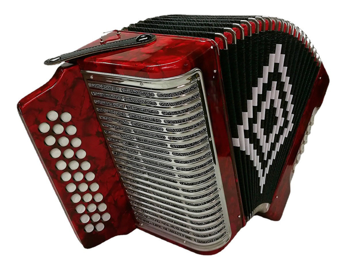 B3112SB Stainless Steel Grille 31 Button 12 Bass Button Accordion Professional