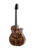 WAG901CE Winzz Exotic Material 41'' GA Shape Acoustic Guitar 