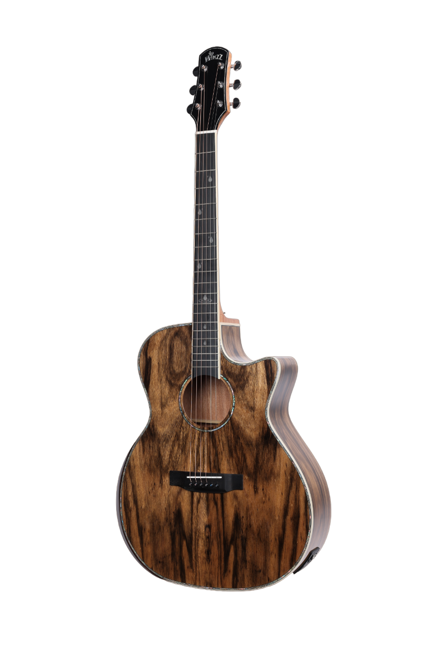 WAG901CE Winzz Exotic Material 41'' GA Shape Acoustic Guitar 
