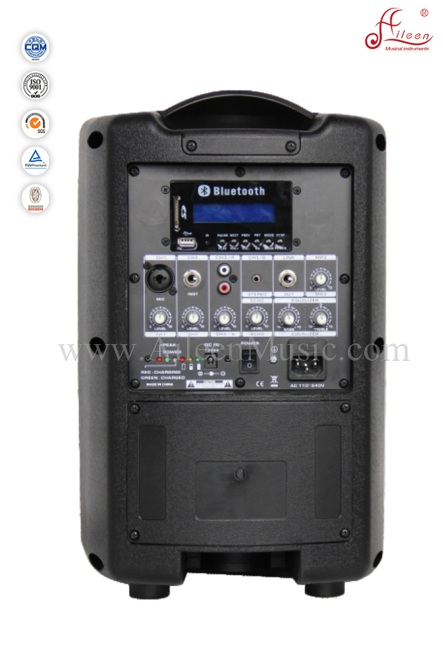 8 Inch UHF Wireless Receivers Battery PA System (PPS-0840MB)