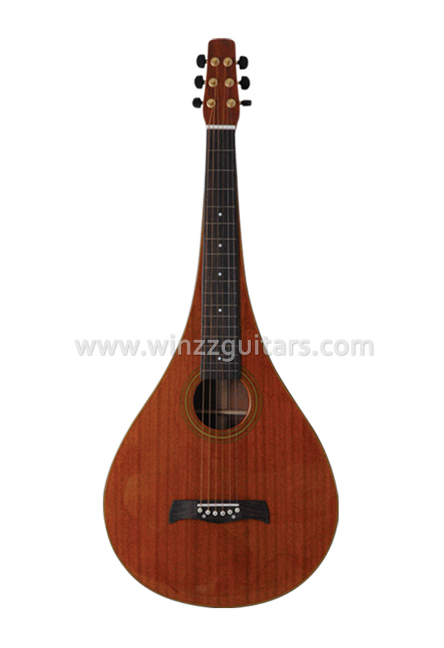  Chinese Tear drop Weissenborn Slide Guitar (AW660S-T)