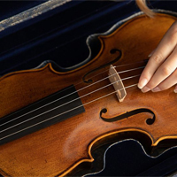 Composition of the violin