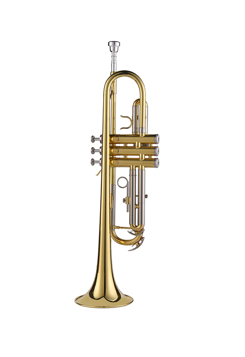 bB Key General Entry Grade Trumpet(TP-G408G-SYY)