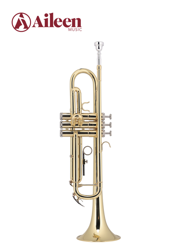 TP8030G New Gold Lacquered Professional Brass Body Middle Grade Trumpet