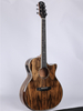 WAG901CE Winzz Exotic Material 41'' GA Shape Acoustic Guitar 