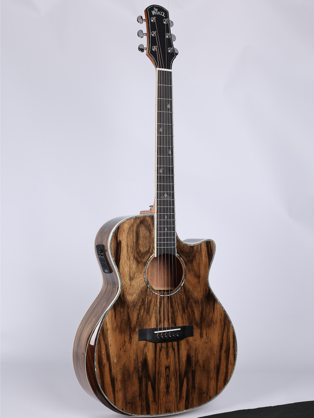 WAG901CE Winzz Exotic Material 41'' GA Shape Acoustic Guitar 
