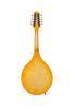 AM44L-A High Quality Musical Instrument Glossy Finish A Style Mandolin
