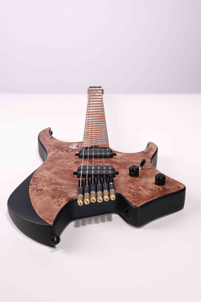 WINZZ NEW Design Lyra Pro Series Electric Guitar WLH150
