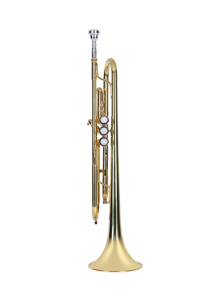 TP-G300G Good Wind Instruments General Grade Yellow Brass Body Material Trumpet