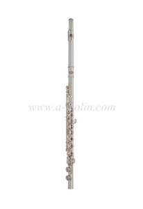 [Aileen] Student model Open hole French style flute (FL4312N-E)