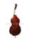 Varnish Violin Shape Advanced Double Bass(VDB310)