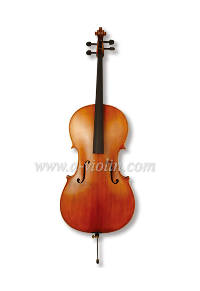 Beautiful Advanced Flamed Cello At Exceptional pricing (CH30Y)