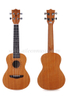 New Product Hot Sell Concert Middle Grade Series Ukulele (AU07)
