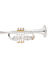 bE/D Key High Grade Professional Brass Body Trumpet(TP-S480S)