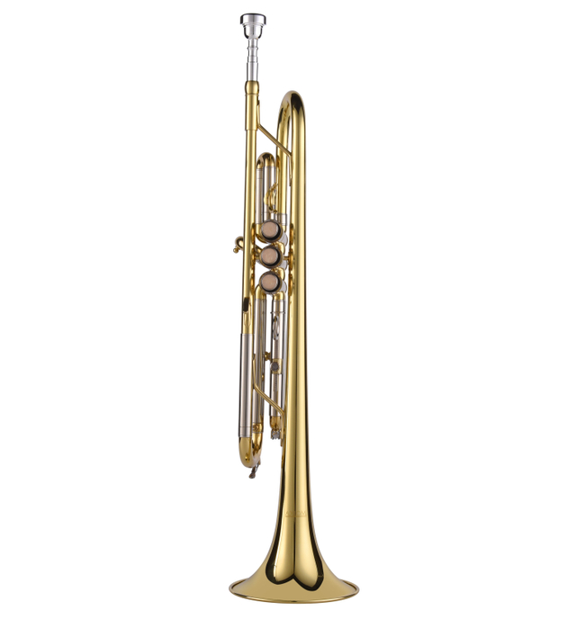 bB Key General Entry Grade Trumpet(TP-G408G-SYY)