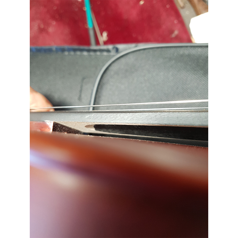 Ebony fingerboard purfled violin (VG104)