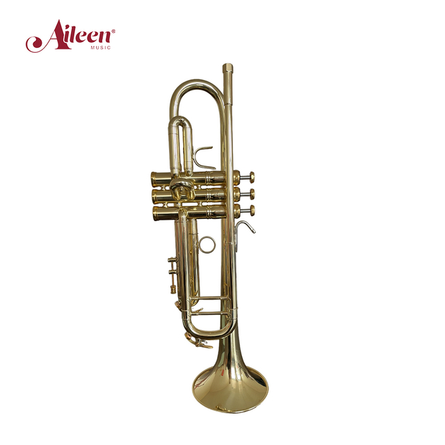bB Trumpet Bell DIA 123mm Special bell design(TP-G8005G)