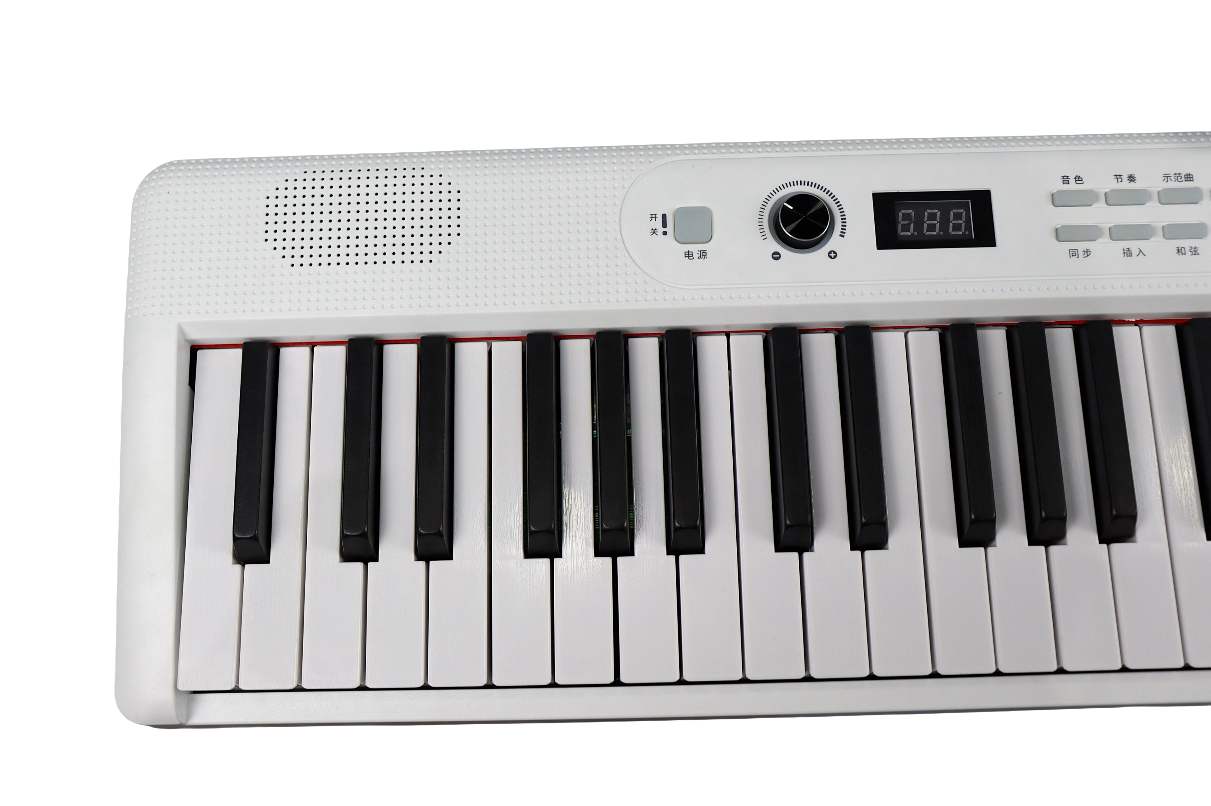 EK-F8801 Professional 61 Keys Portable Foldable Keyboard Instruments