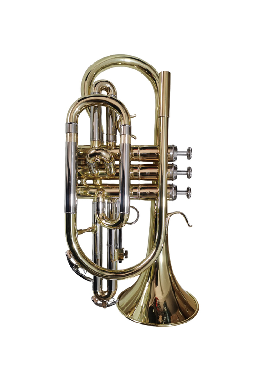 CN-G400G Professional Stainless Steel Piston BB Cornet Entry Grade