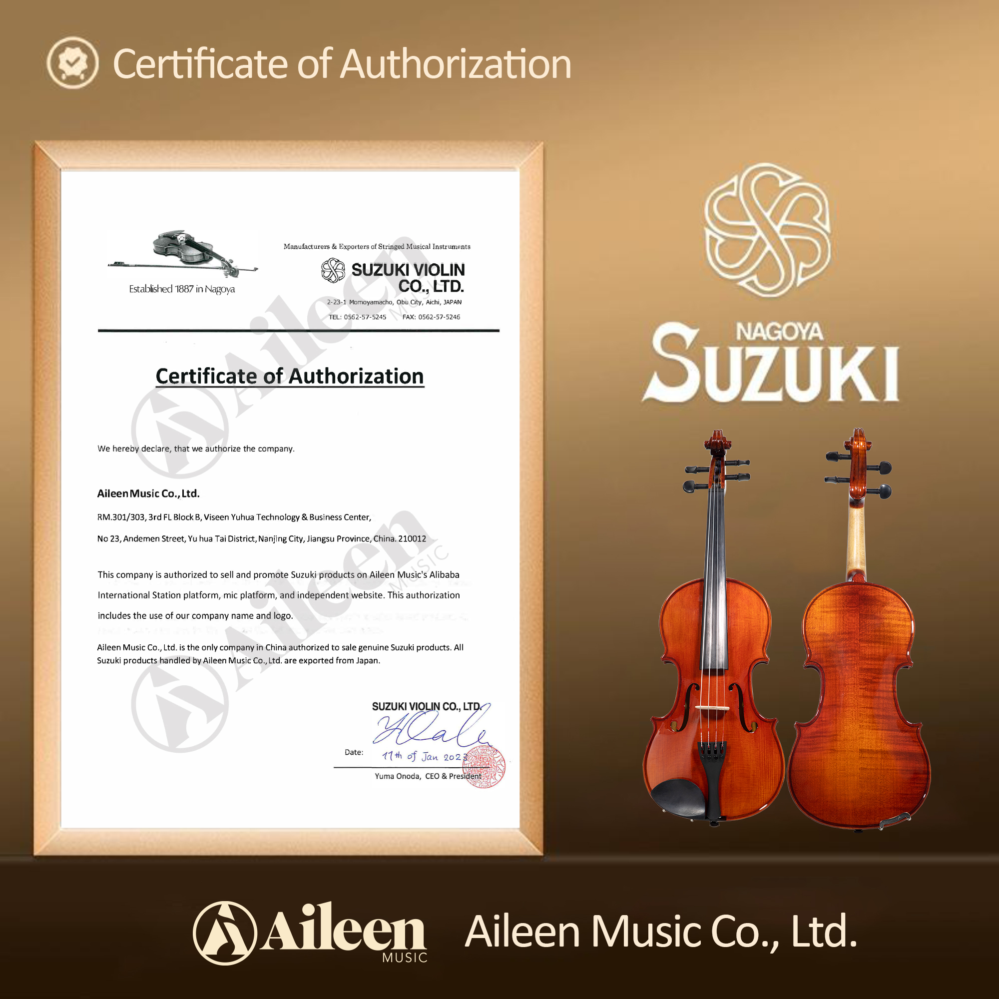 SV-15AL String Musical Instruments Suzuki Violin Student Violin