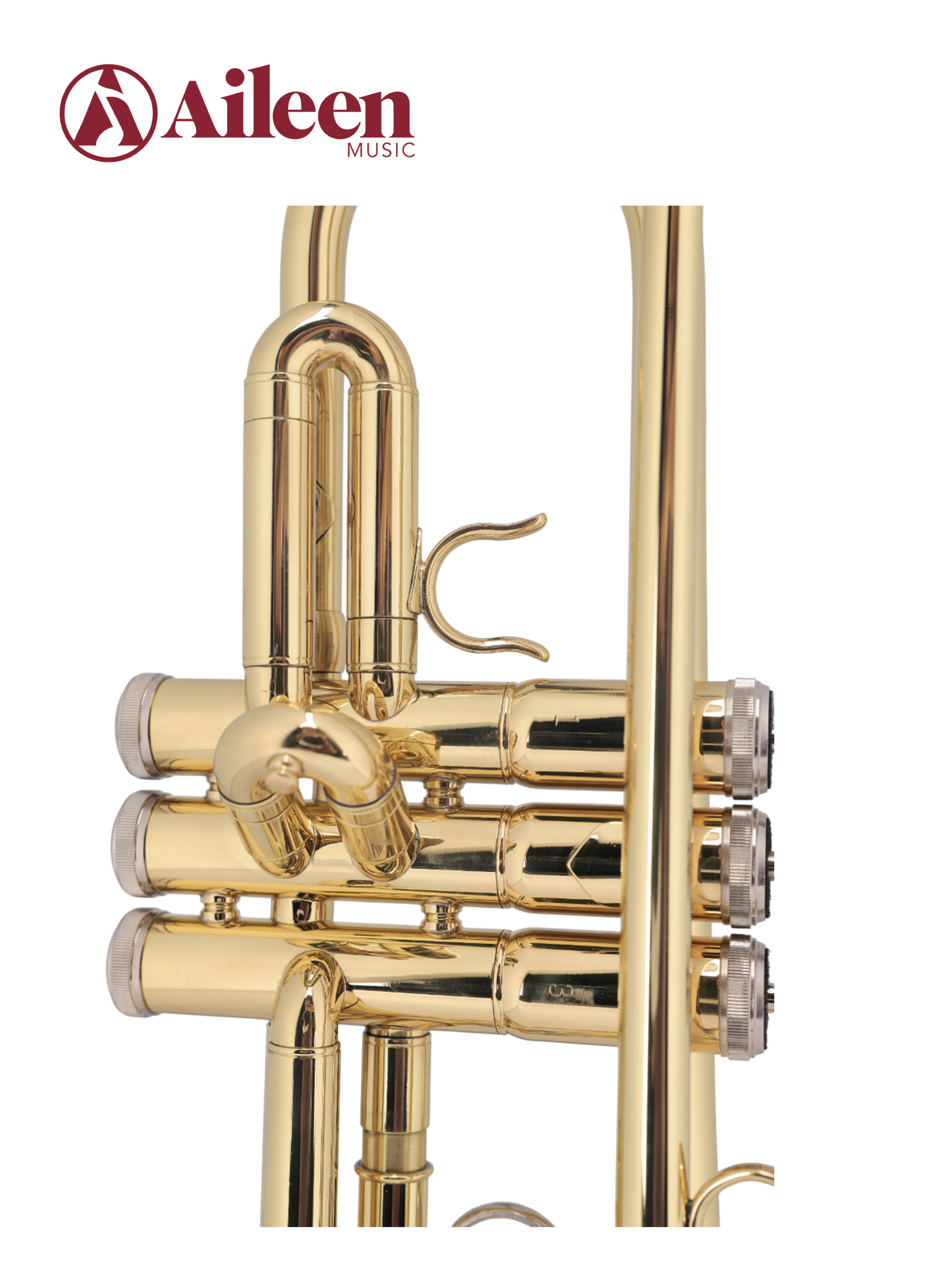 TP8030G New Gold Lacquered Professional Brass Body Middle Grade Trumpet