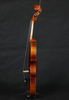 VG002HPA New Professional Antique Finish Plywood Body 4/4 Student Violin 
