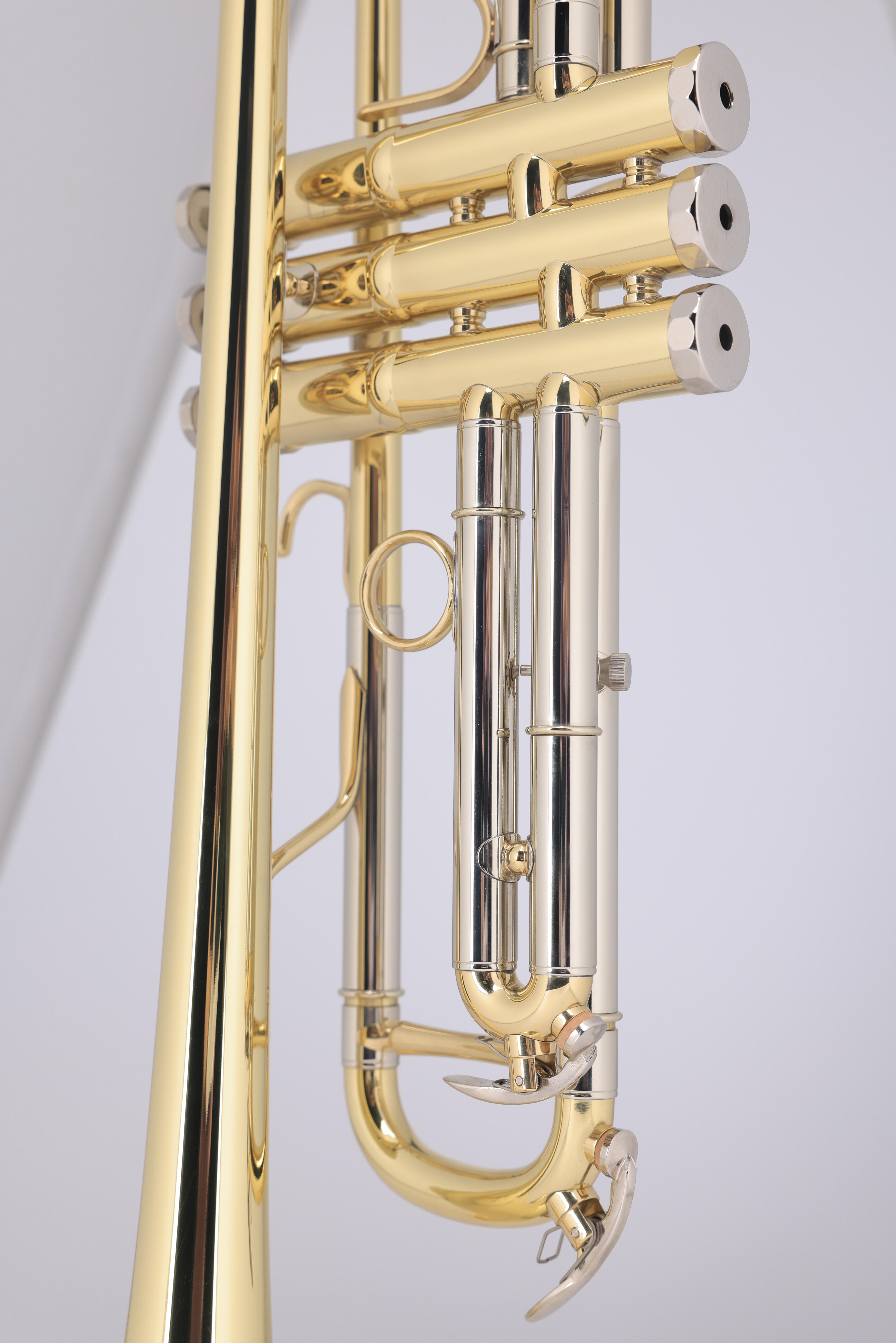 TP8034G (4)