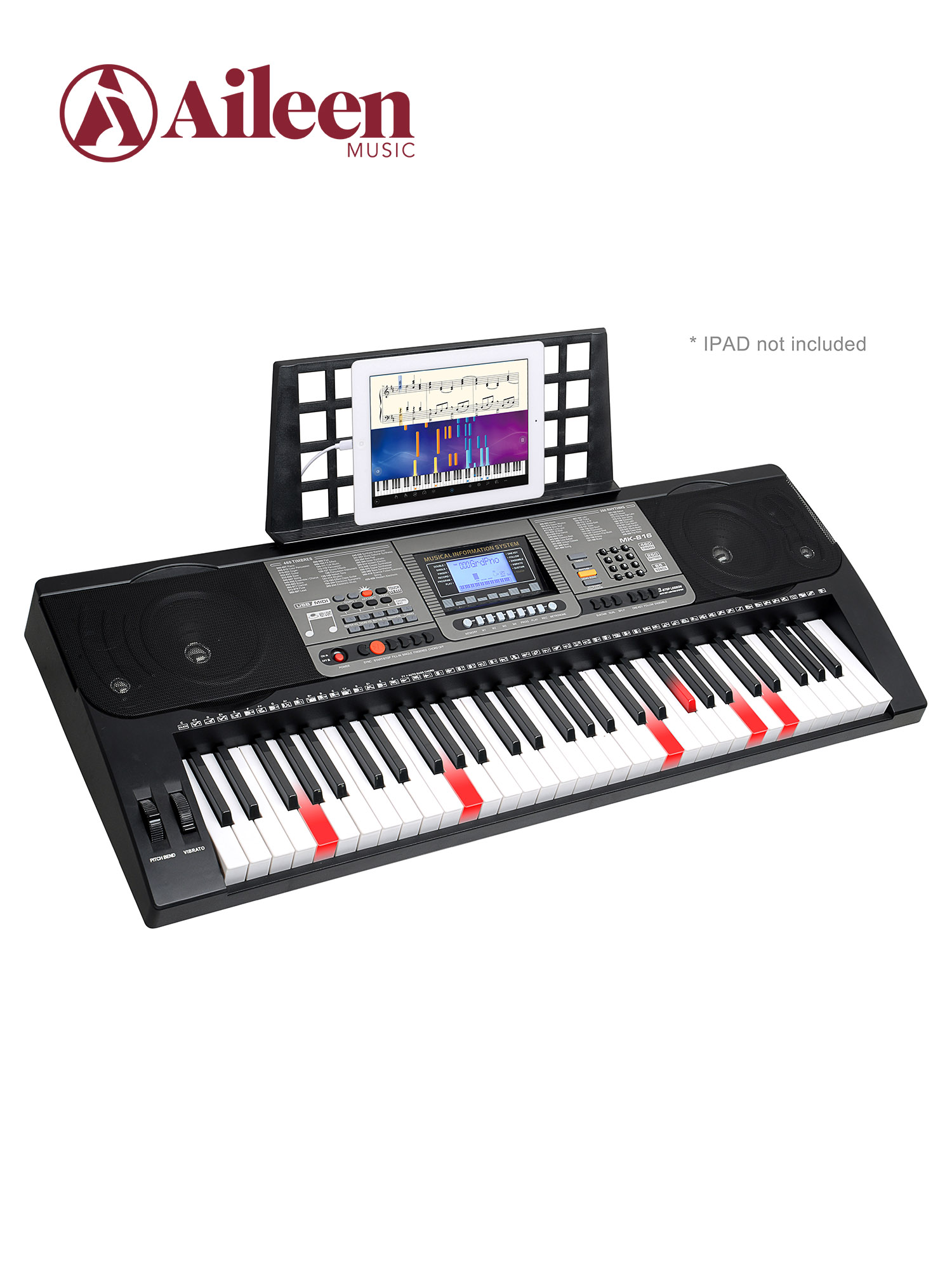 61 Keys Professional Music Keyboard Oriental Keyboard (EK61224)