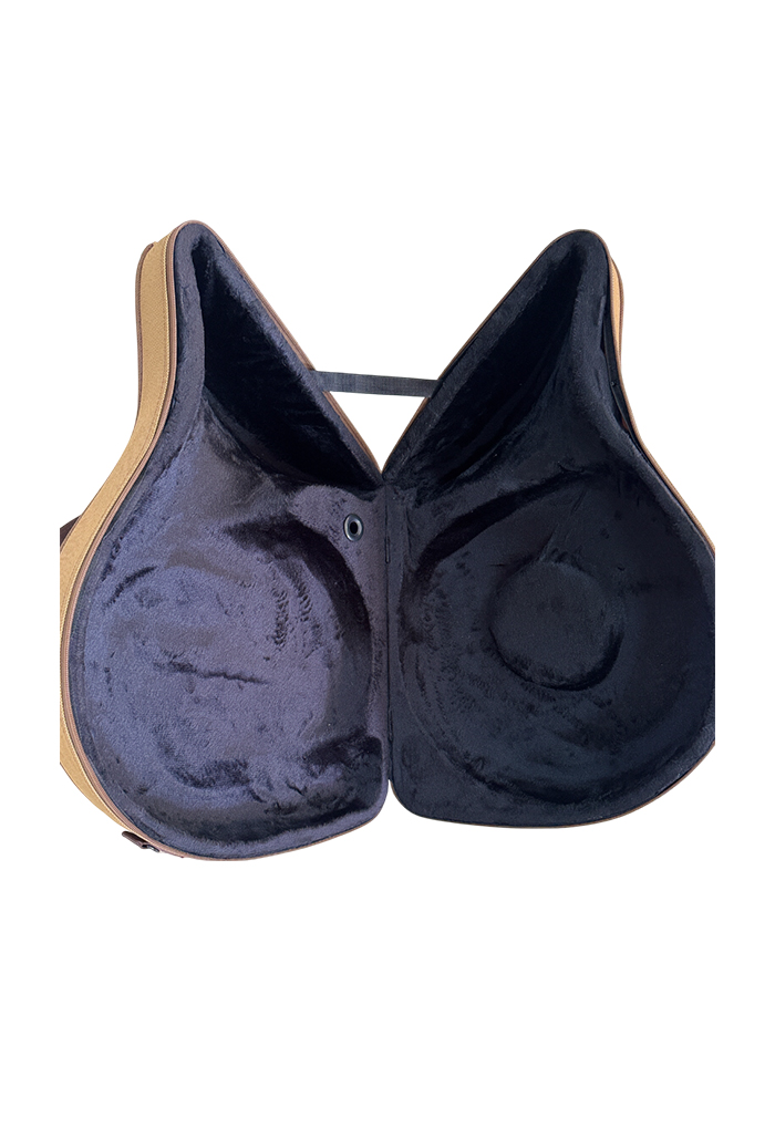 FHC0224 High Quality Professional Instrument French Horn Case