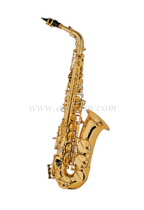 Alto Saxophone (Student model)-YNG style (SP1013G)