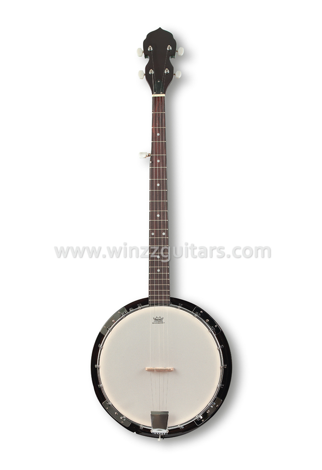 Banjos With Classic And Contemporary Styles - AILEEN