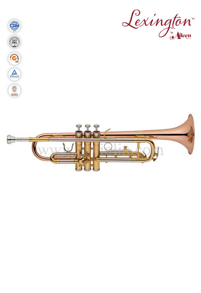 Bb Upgrade Professional Trumpet With Premium Case (TP8012)