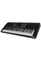 61 keys Electric Keyboard with 300 tone (EK61306)