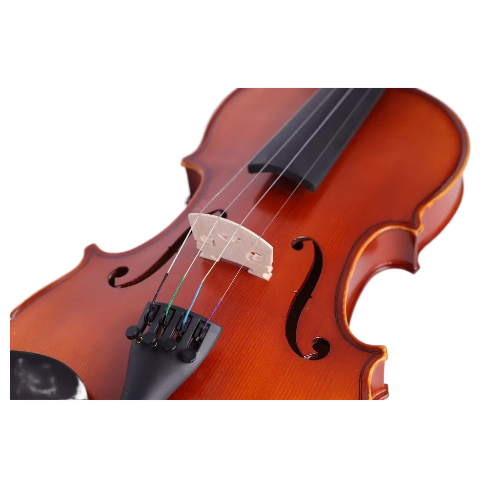 Adult Violin 4/4 All Solid Wood Profesional(VG210H) - Aileen Music