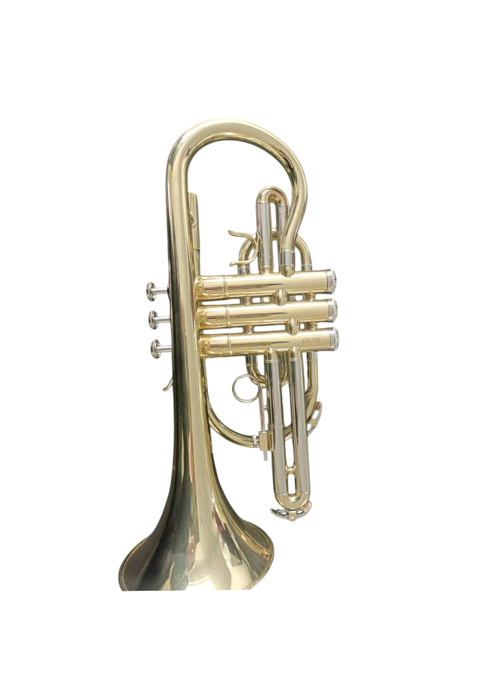 CN-G400G Professional Stainless Steel Piston BB Cornet Entry Grade