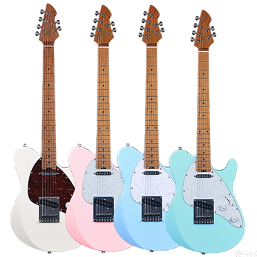 WGT100 PNG