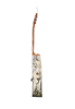 WAG905CE New Musical Instrument 41“ Winzz Exotic Material Acoustic Guitar 