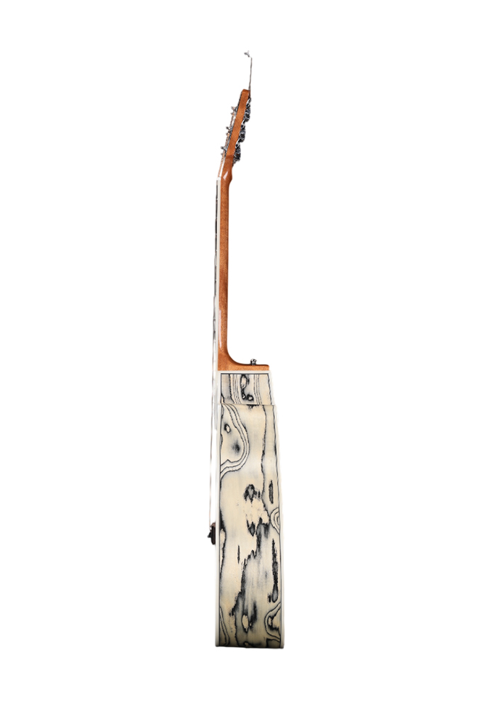 WAG905CE New Musical Instrument 41“ Winzz Exotic Material Acoustic Guitar 