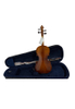 VG001HPA Good Price Hot Sale Musical Instrument 4/4 Student Violin