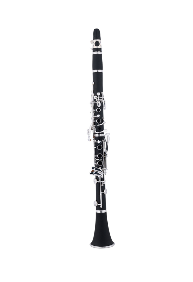 CL-3041S Popular General Grade Ebonite Body bE 17 Keys Clarinet 