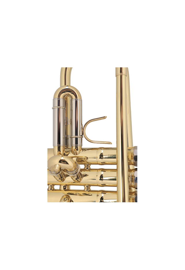 TP8034G Best Selling Middle Grade BB Key Yellow Brass Body Trumpet