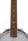 REMO Head Mandolin Banjo (AB-12M)
