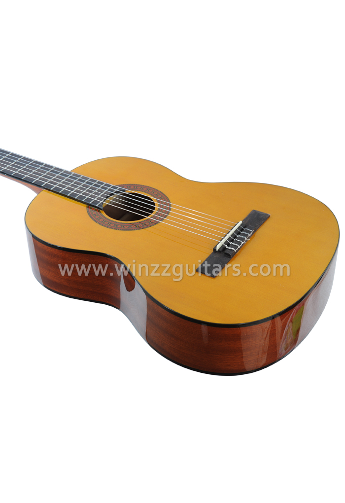 High-end Updated Student Model Classical Guitar (AC70N)